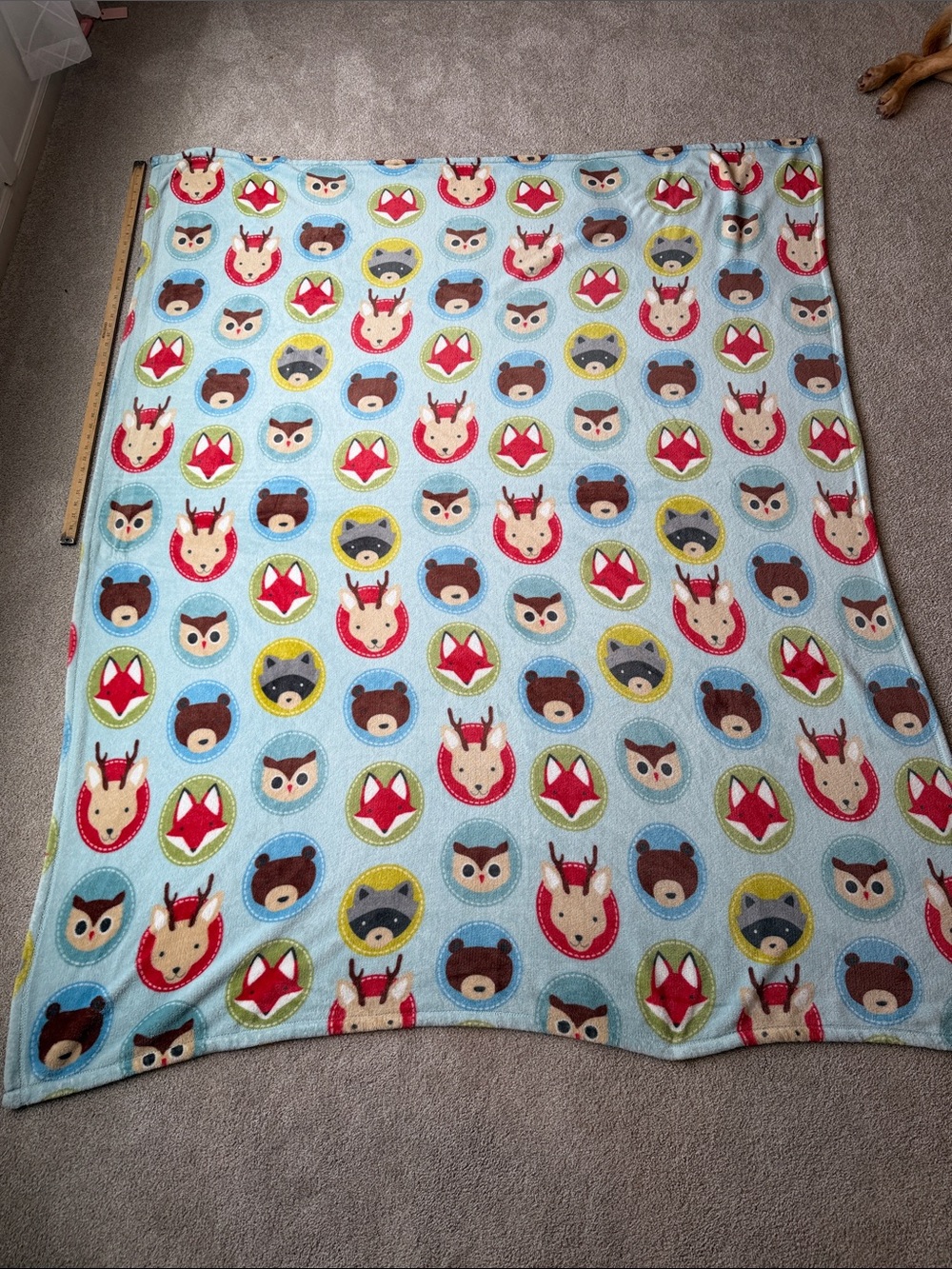 RARE Kohls The BIG One forest
Woodland Animal Fleece Blanket
Light Blue bear fox